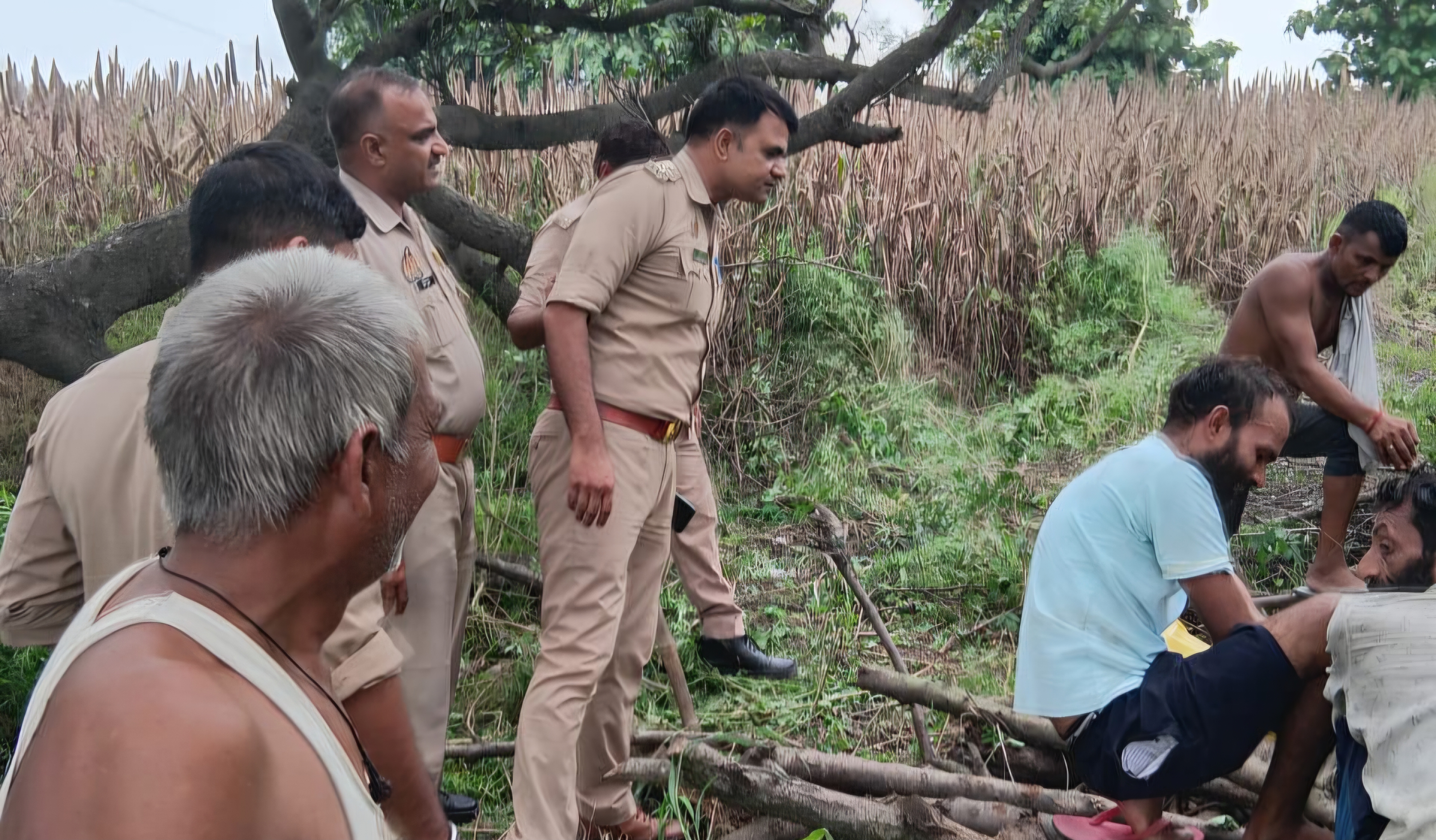 अजगर के शिकंजे में फंसा राष्ट्रीय पक्षी, ग्रामीणों ने बचाने की कोशिश की; नहीं बची मोर की जान